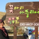 청명기술 이미지