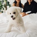 모어더더 이미지