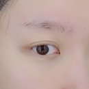 코코블링 | 눈가 잔주름 잡는 화이트블링 아이크림 솔직 후기