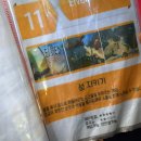 라이바VR카페 이미지