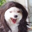 타비투어 이미지