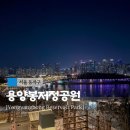 삼중공원 | 서울 야경 명소 용양봉저정공원 한강뷰 전망 20개월 아이와 가볼만한곳