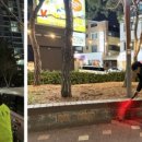 송촌동 행정복지센터 이미지