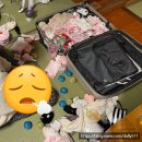 돈우하우스 | 거인 마을 히타, 정글 온천 타이센가쿠 료칸 후기, 우휴인 노모리, 후르츠가든 신선, 메가하우스 룩업...