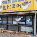 별난복어 이미지