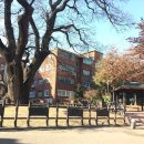 신현북초등학교 이미지