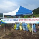 영동군청 이미지