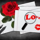 느티나무 플랫폼 이미지