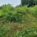 무주장의사 이미지