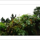 국민대학교 박물관 이미지