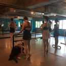 성인 토슈즈 이미지