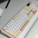 F108 | 독거미 키보드 F108 pro 저소음 솜사탕축 내돈내산 후기