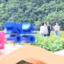 산소카페 청송군민음악회 공감신문