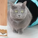 (주)캐리어에어 이미지