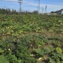 율곡식당 이미지