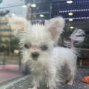 화곡부부한의원 이미지