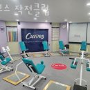 커브스작전클럽