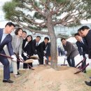 청사로-10 이미지