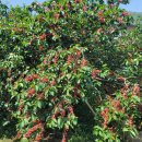 고흥영남우체국 이미지