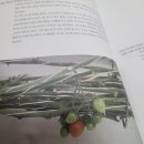 써니팜