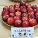 포천과일