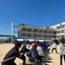 성신초등학교 이미지