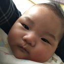 행복한또미네