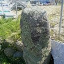 벅시 이미지