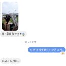 vs KT wiz (6대1 승)ㅣ250511ㅣ수원 KT위즈파크ㅣ1루 스카이존ㅣKT팬 따라 KT석에서 롯데 응원한 후기