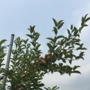 한경대학교부속농장 이미지