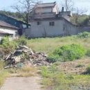 대인부동산중개사무소 이미지