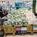 부산세탁마트 이미지