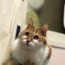 연세준정신건강의학과의원 이미지