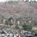 대불공원 좌측 이미지