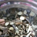 오늘은 샌드위치 이미지