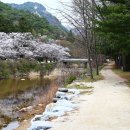 속리산보건지소 이미지