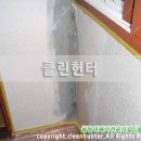 곰팡이헌터 이미지
