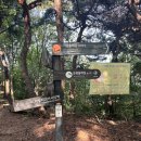 시루뫼쉼터 (증산동 주민센터) | 증산역~구파발(서울둘레길7코스, 16코스. 9.1km)