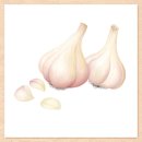 미래로21병원 이미지