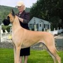 예서 동물병원 이미지