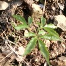 구심농장 이미지