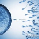 정자네 연합뉴스TV