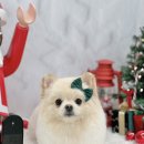 윈썸그루밍 이미지