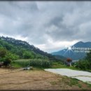 금대리농장 이미지