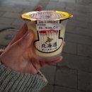 블로그 소재가 여행기밖에 없는 사람의 서규슈 여행기