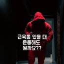 밀리언짐회룡점 이미지