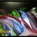 정기코스 이미지