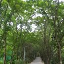 옥화자연휴양림 이미지