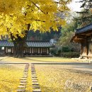 전주구경하세요