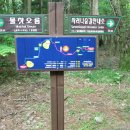 한라산둘레길 사려니숲길 이미지